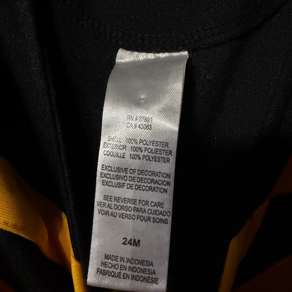 Pittsburgh Steelers Cheer! - Picture 2 of 5